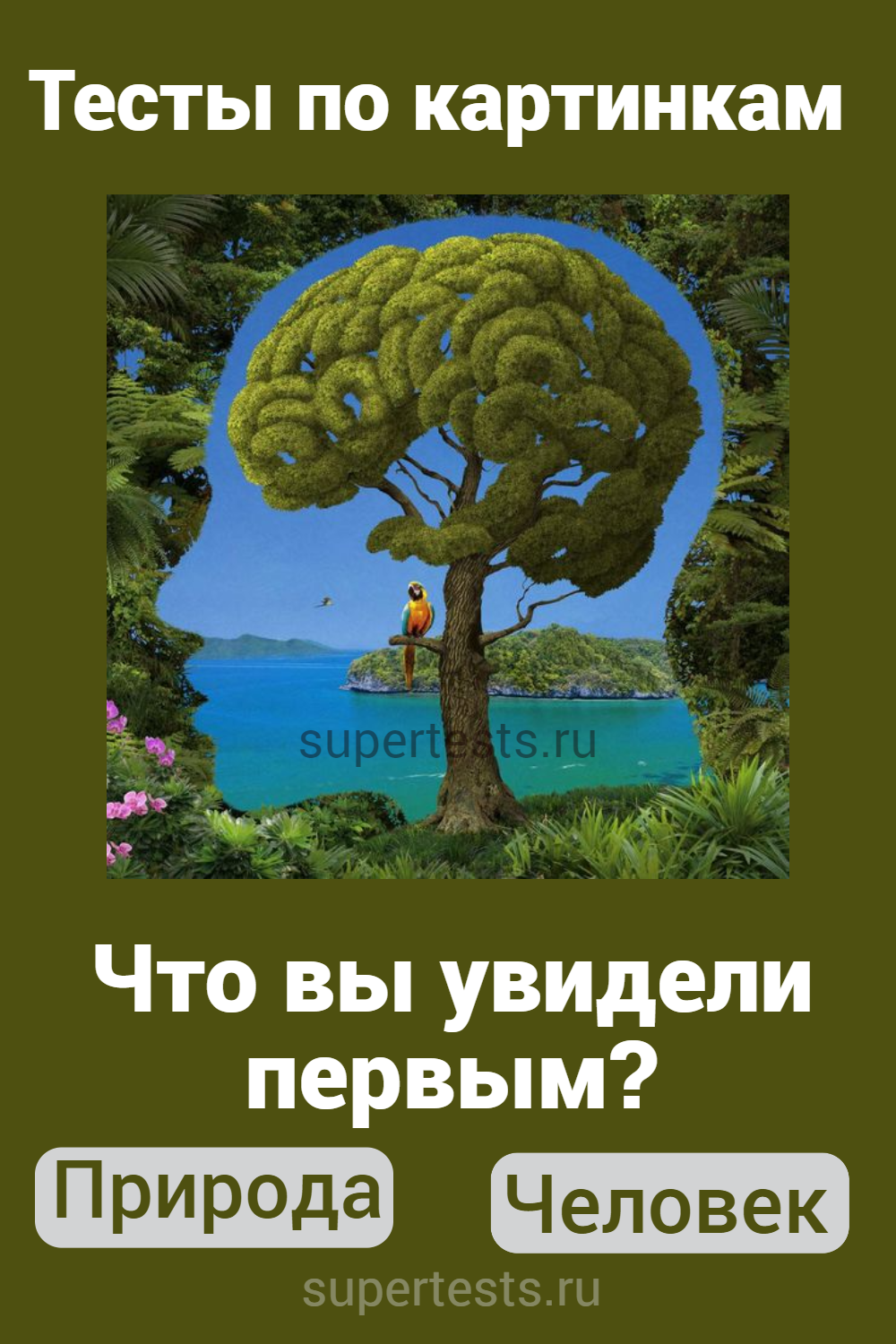 Тест по картинка: что вы увидели первым? 